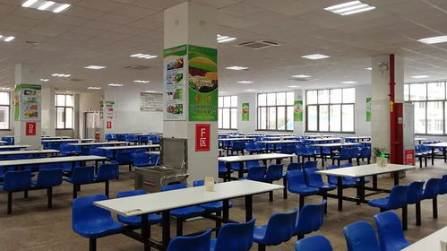 丽水130所学校及幼儿园获评餐饮服务食品安全A级单位